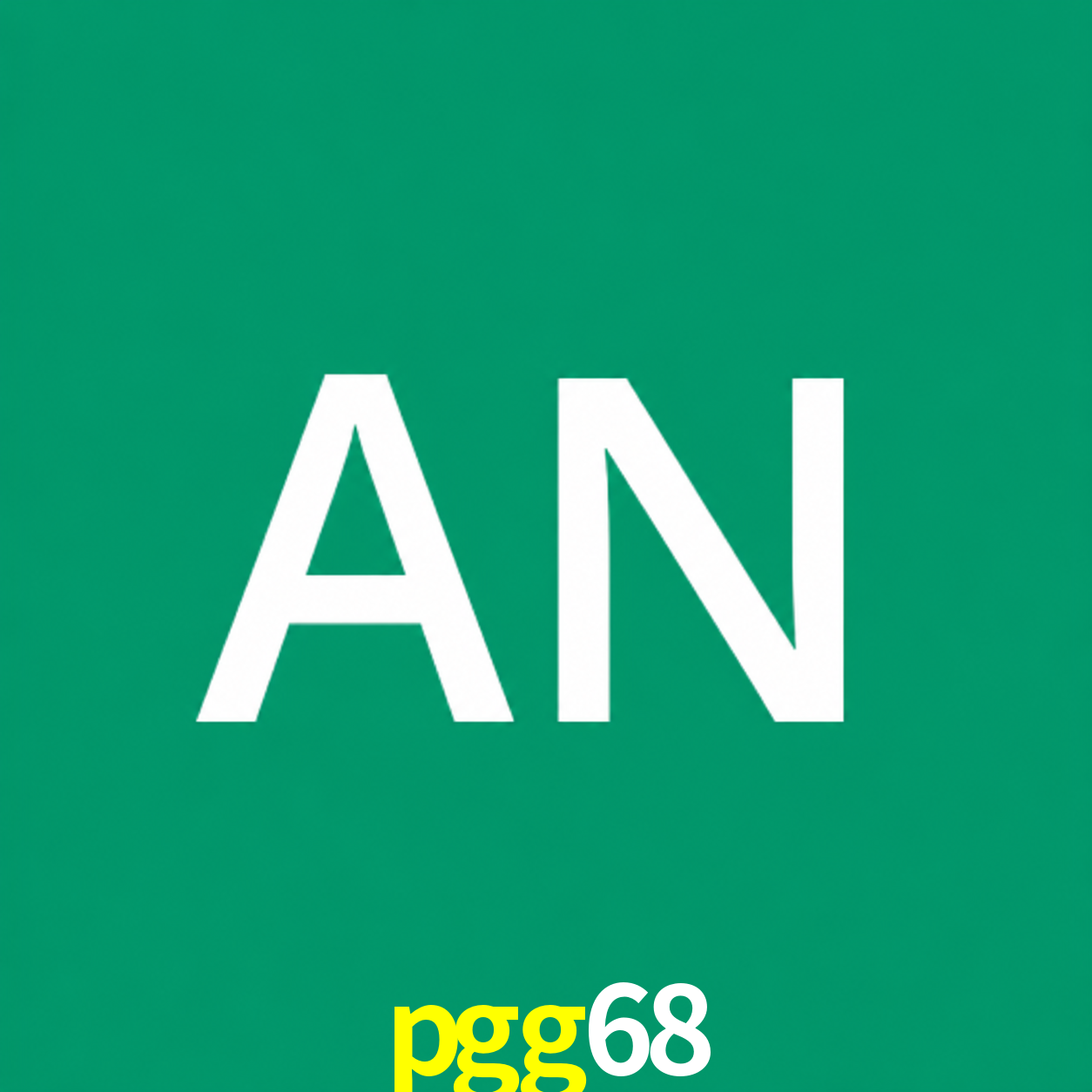 Adi Nugroho - Founder & CEO pgg68 Indonesia